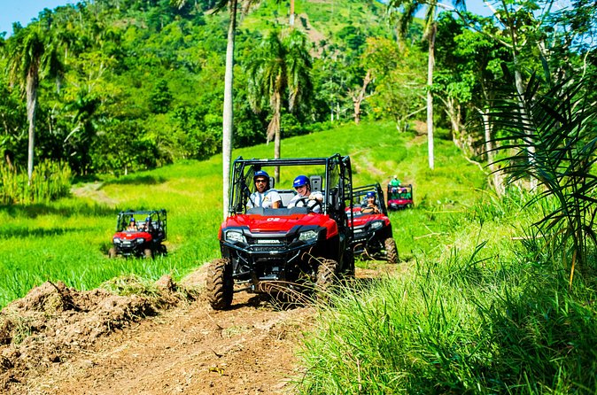 Jungle Buggies + Ziplines Adventures - Twelve ziplines and 18 platforms