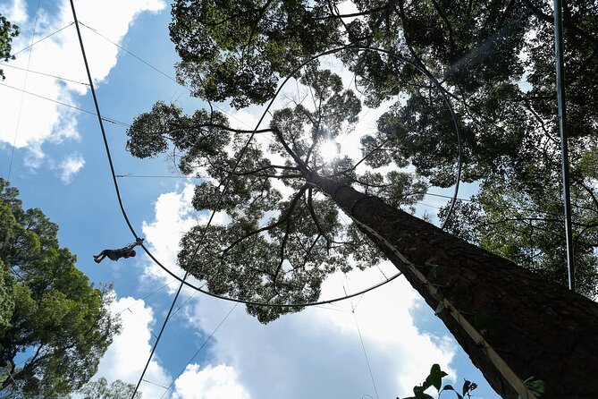 Jungle Flight Zipline Adventure From Chiang Mai - A closer look at the rainforest on the Sky Walk