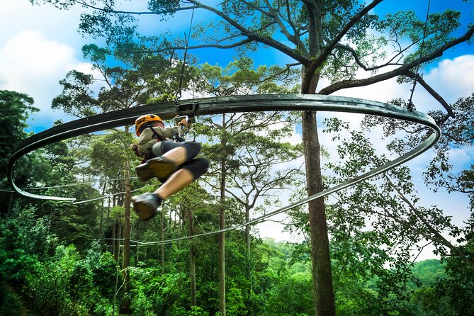 Jungle Flight Zipline Roller Coaster - Key points at a glance