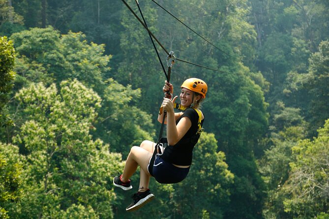 Jungle Flight Zipline Roller Coaster - The jungle roller coaster is more than a footnote