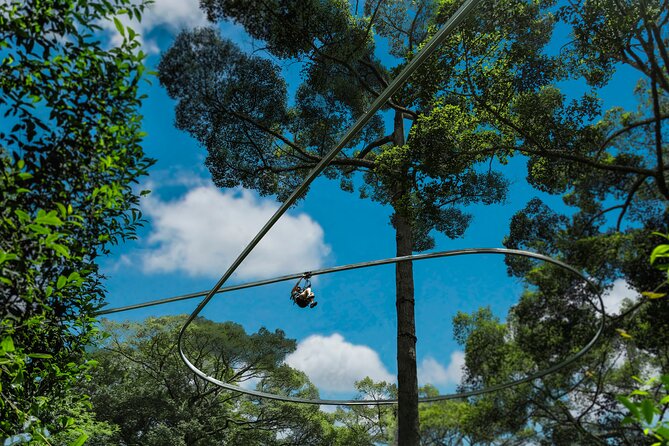 Jungle Flight Zipline Roller Coaster - What to pack and how to prepare