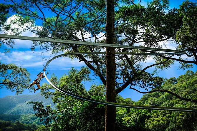 Jungle Flight Zipline Roller Coaster - Roughly 15 ziplines through the treetops