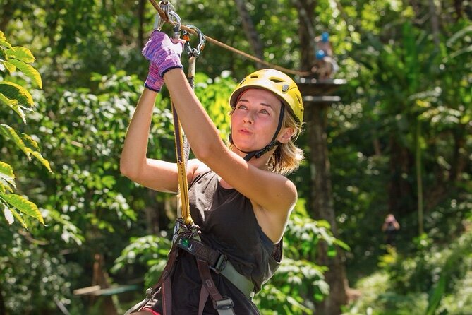 Jungle Xtreme Adventures and Zipline - A two-hour course of climbing, swinging, and balance