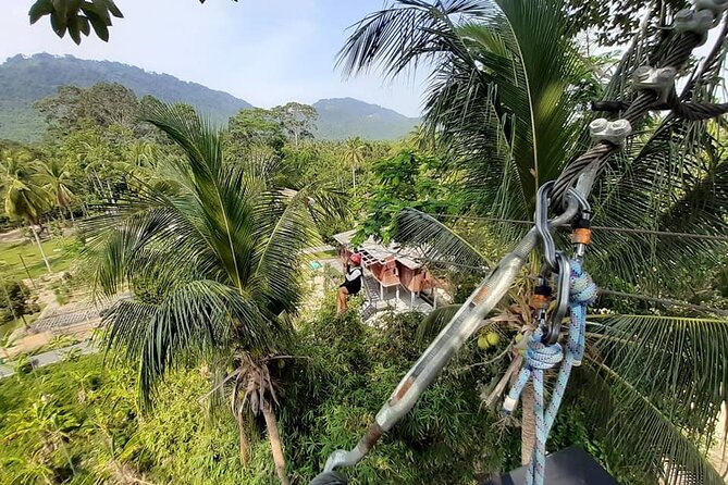 Jungle Xtreme Zipline 16 Platforms Tour From Koh Samui - The biggest question: is it really a jungle setting?