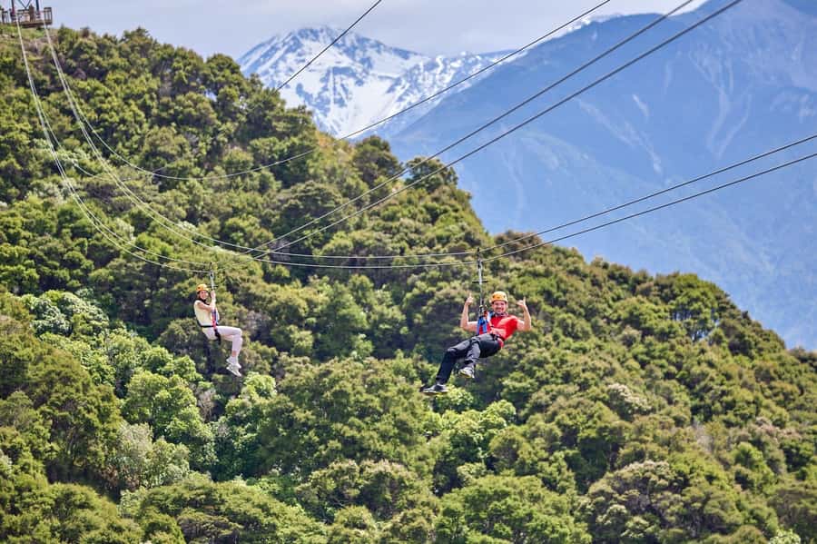 Kaikōura: Zipline and Native Forest Adventure Trip - Key points to know before booking