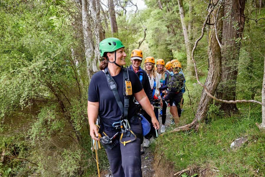 Kaikōura: Zipline and Native Forest Adventure Trip - Five ziplines with changing views