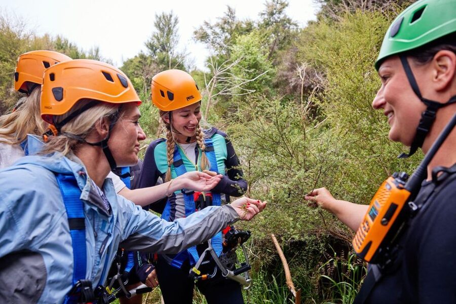 Kaikōura: Zipline and Native Forest Adventure Trip - Conservation gives the outing more meaning