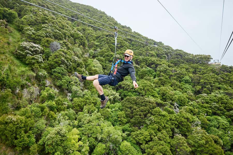 Kaikōura: Zipline and Native Forest Adventure Trip - Who will enjoy this most
