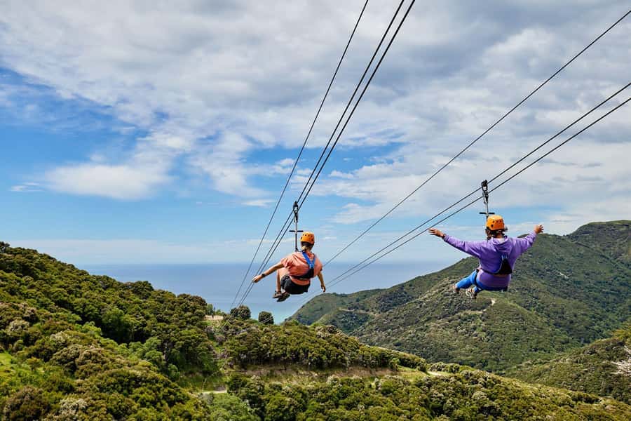 Kaikōura: Zipline and Native Forest Adventure Trip - The 4X4 ride is part of the fun