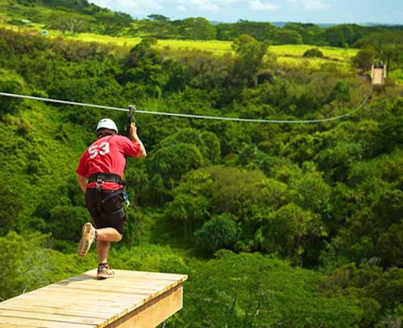 Kauai: Zipline Adventure - Starting at Poipu Shopping Village