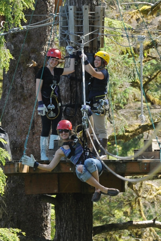 Ketchikan: Rainforest Canopy & Zipline Adventure - Key points to know before you book