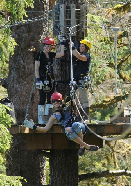 Ketchikan: Rainforest Canopy & Zipline Adventure - From downtown Ketchikan to Herring Cove