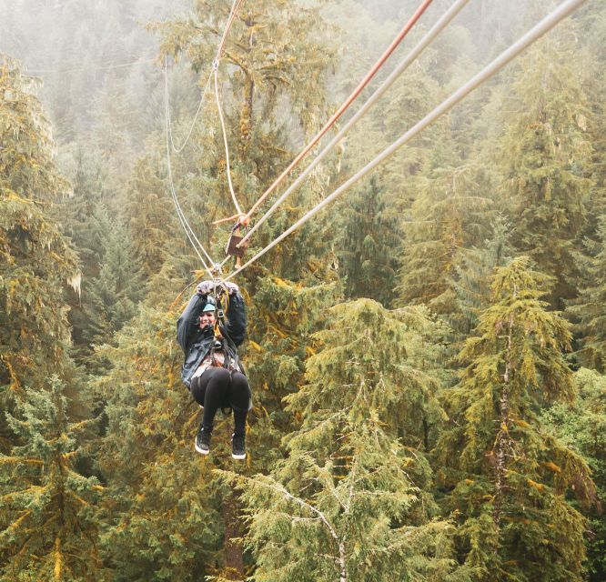 Ketchikan: Rainforest Canopy & Zipline Adventure - Booking and meeting tips that matter