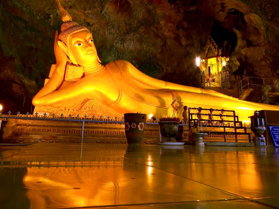 Khao Lak: Rafting, ZipLine, Lunch Buffet ,ATV Options Trip - The elephant bathing show and white buffalo stop