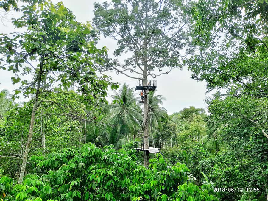 Koh Samui: ATV And Zipline Experience with Transfer - What the two-hour schedule really means