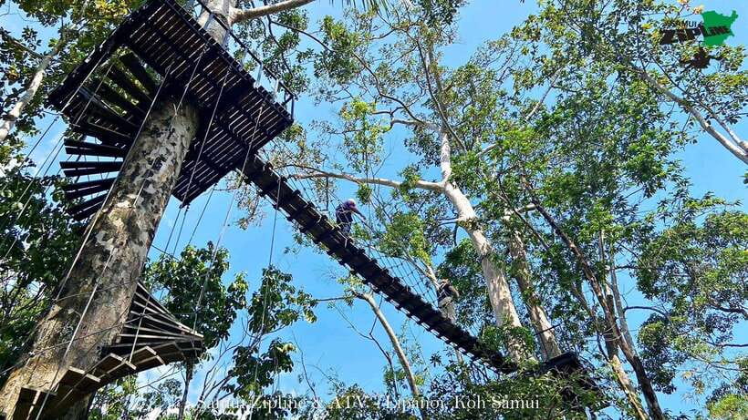 Koh Samui: Samui Zipline Adventure with Transfer service - The ride through the trees