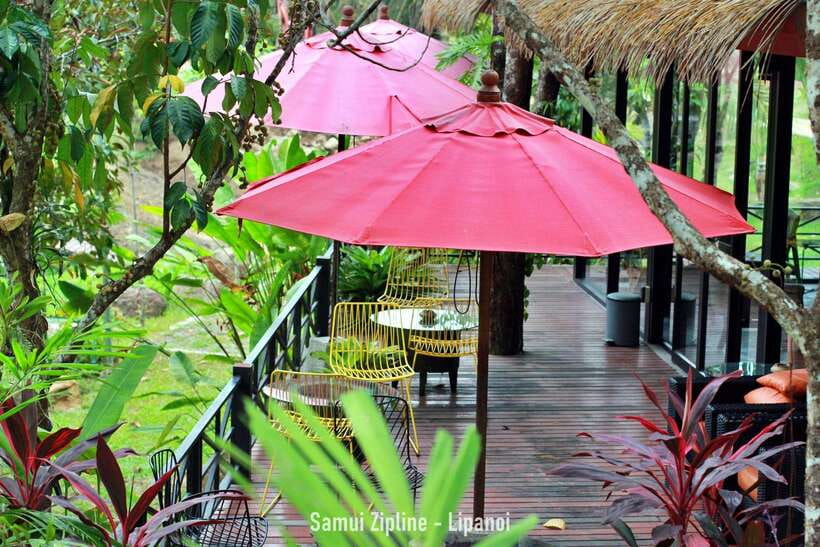 Koh Samui: Samui Zipline Adventure with Transfer service - What is included after you land