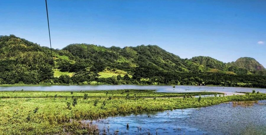 Koloa: Kauai’s Longest 8-Line Zipline Tour - Is $169 a fair price?