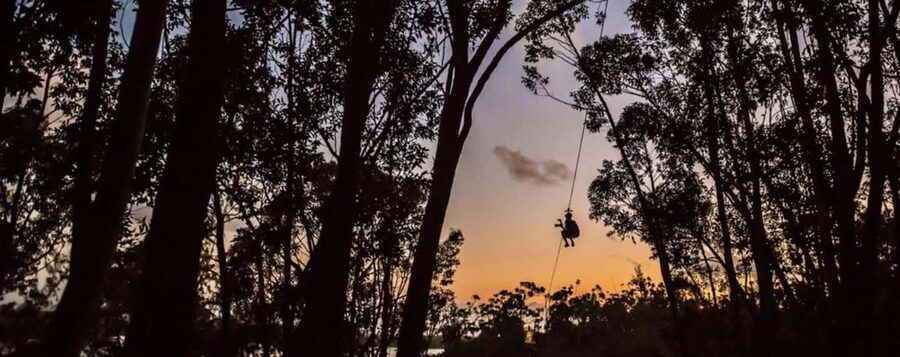Koloa: Kauai’s Longest 8-Line Zipline Tour - Who should choose this course?