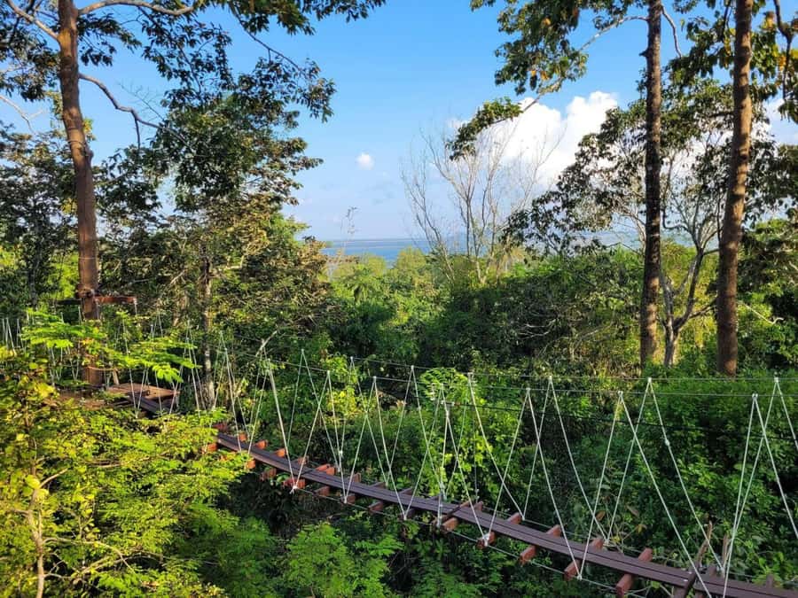 Krabi Zipline adventure - What to bring for a smoother day