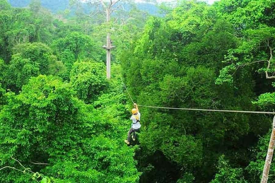Krabi Zipline adventure - Who will enjoy this most