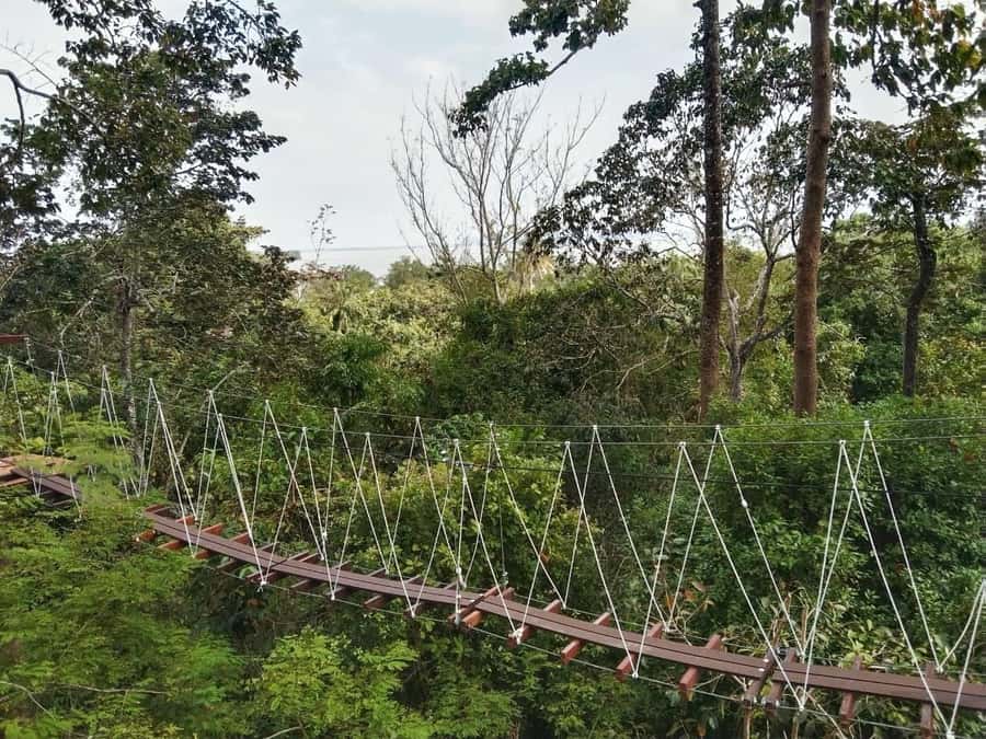 Krabi Zipline adventure - The 11 ziplines are split into two zones
