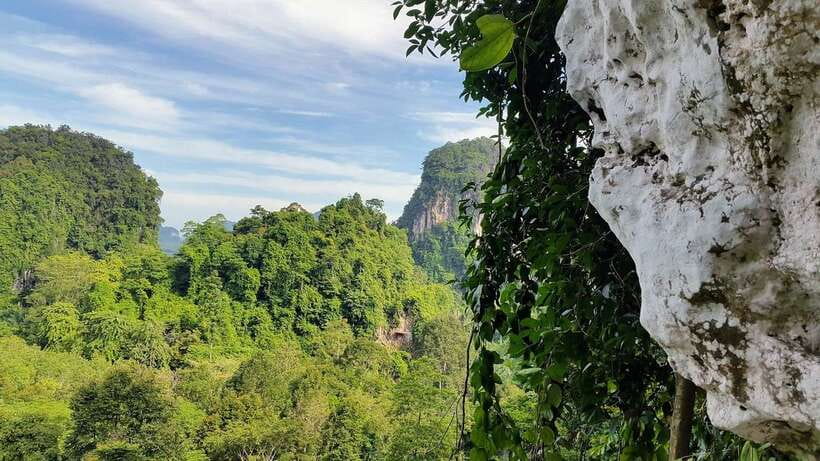 Krabi: Ziplining with Abseiling and Rock Climbing Options - Rock Climbing With Two Instructors