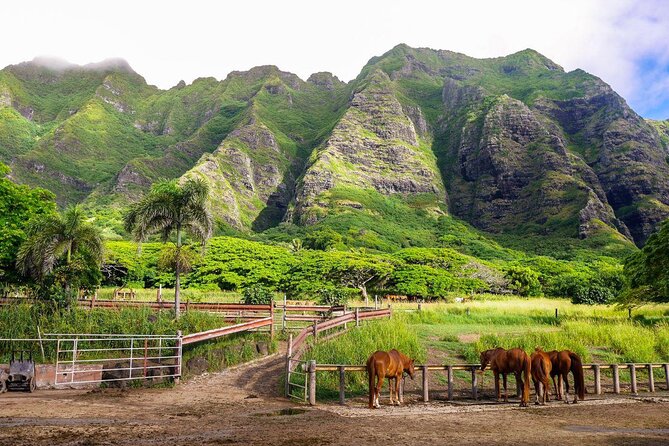 Kualoa Ranch - Zipline Tour - Key points to know before you go