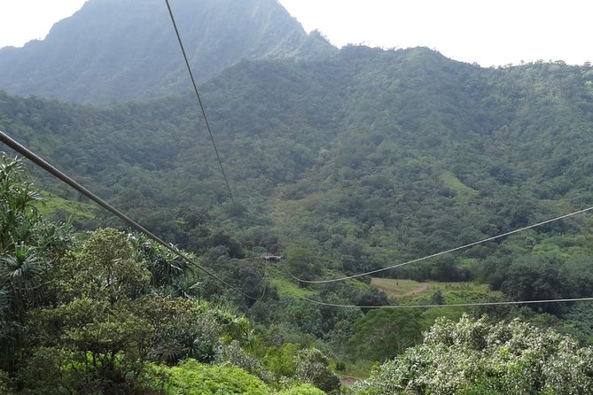 Kualoa Ranch - Zipline Tour - The suspension bridges and forest crossings