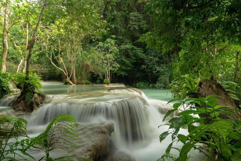 Kuang Si Waterfall, Tree Top Cafe, Ziplining - The drive from Luang Prabang to the falls