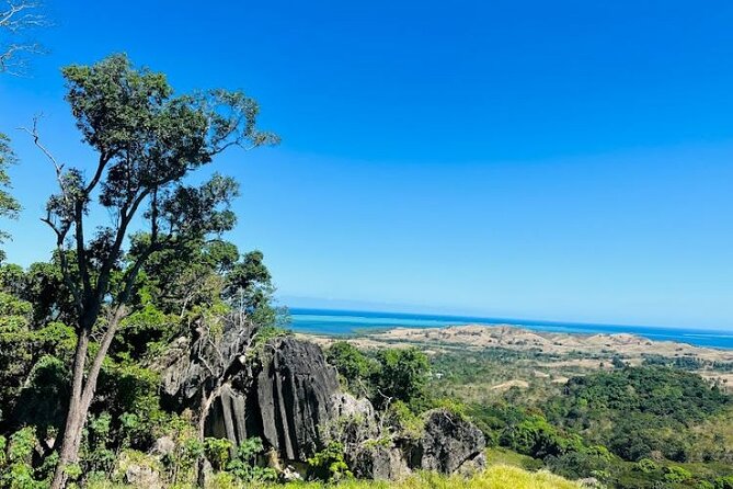 Largest Zipline in South Pacific & Cave Exploration in Nadi - The upper mountain and old vesi trees