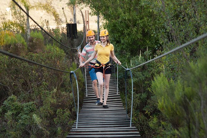 Las Cañadas Zipline Tour (with Luxury Roundtrip Transportation) - Timing and transportation for cruise passengers