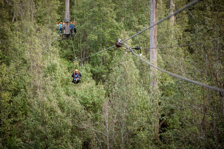 Launceston: Hollybank Forest Treetop Zip Lining with Guide - Key points at a glance