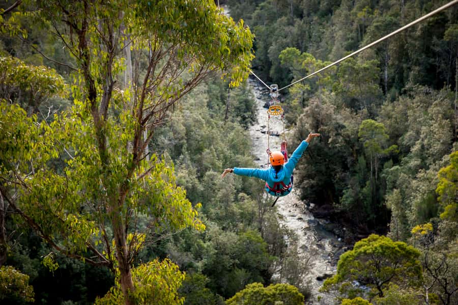 Launceston: Hollybank Forest Treetop Zip Lining with Guide - Meeting the guides and getting fitted