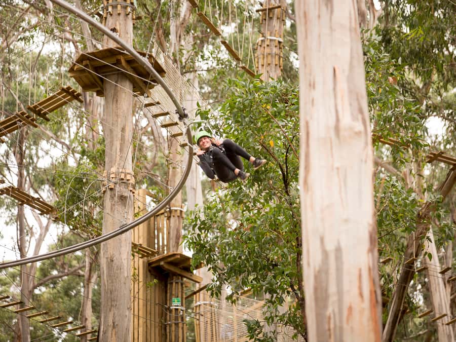 Lorne: Live Wire Park Ticket with Zip Line Rollercoaster - What makes the Shockwave ZipCoaster different