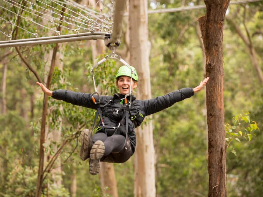 Lorne: Live Wire Park Ticket with Zip Line Rollercoaster - Spring Circuit trampolines and Canopy Circuit walk