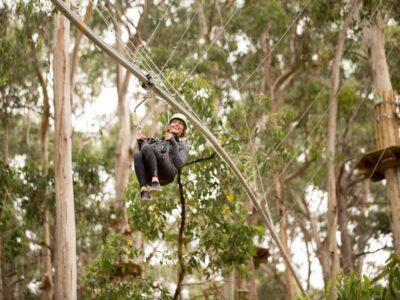 Lorne: Live Wire Park Ticket with Zip Line Rollercoaster