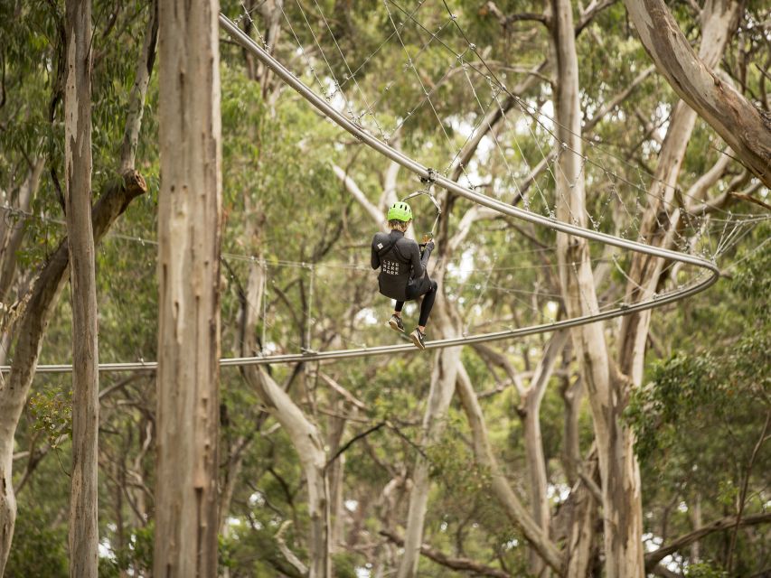 Lorne: Live Wire Park Ticket with Zip Line Rollercoaster - What is not included
