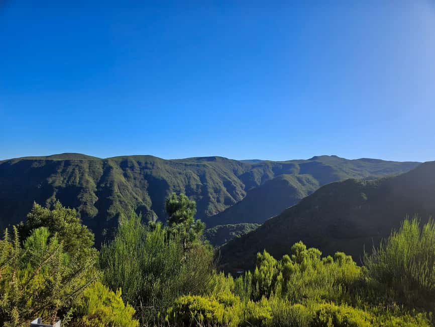 Madeira Adrenaline 4x4 Tour: Zipline, Giant Swing and Seixal - A Half-Day That Packs Madeira Into Five Hours