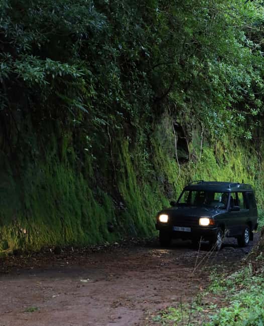 Madeira Adrenaline 4x4 Tour: Zipline, Giant Swing and Seixal - Who Will Enjoy This Tour Most
