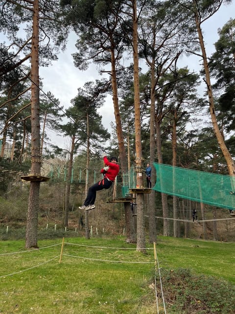 Madrid: Zip line circuits high in the trees - What the named games feel like