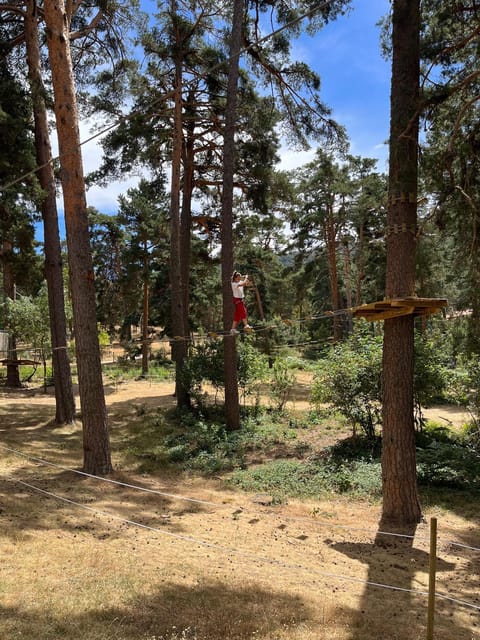 Madrid: Zip line circuits high in the trees - Three hours of treetop challenges