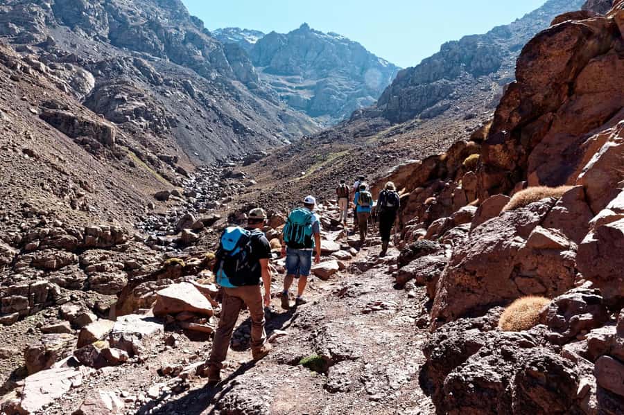 Marrakech: Atlas Mountains Zipline Adventure & Breakfast - Key Points Before You Book