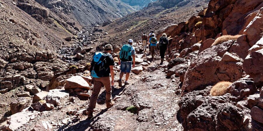 Marrakech: Atlas Mountains Zipline Adventure & Breakfast - The Human Side: Guides, Drivers, and Small Groups