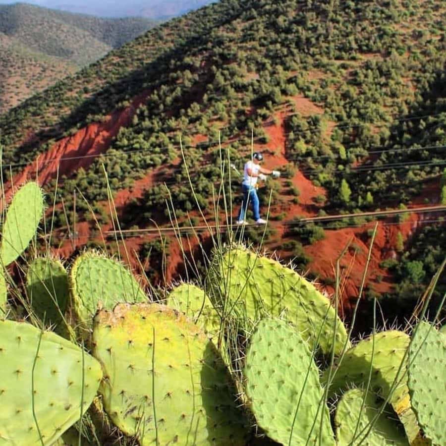 Marrakech: Zipline and Breakfast in the Atlas Mountains - Is the $81 price fair?