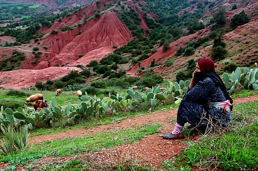 Marrakech: Zipline and Breakfast in the Atlas Mountains - Practical tips for a smoother morning