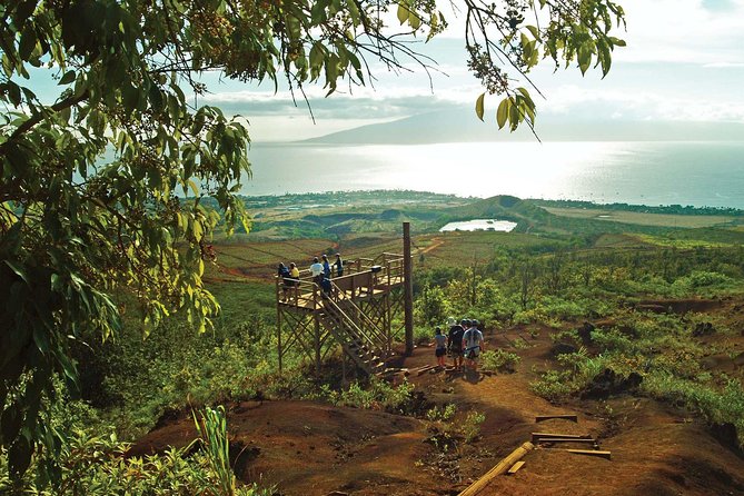 Maui 8 line Zipline Adventure: Soar above valleys & Island views - The essential facts at a glance