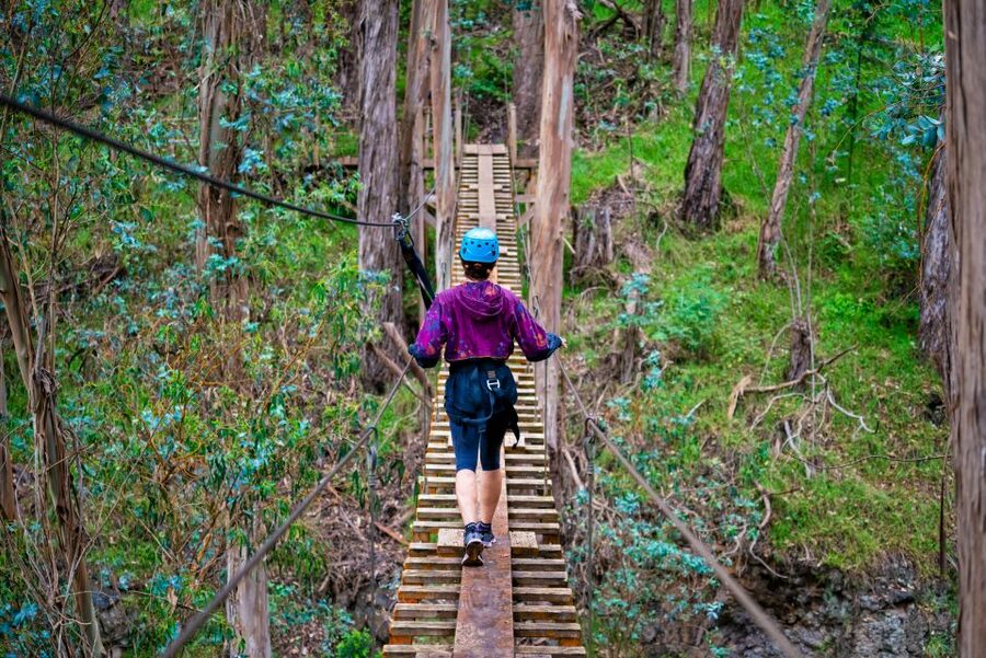 Maui: Haleakala 6-Line Zipline Adventure - More than a thrill ride: ecology and ranching