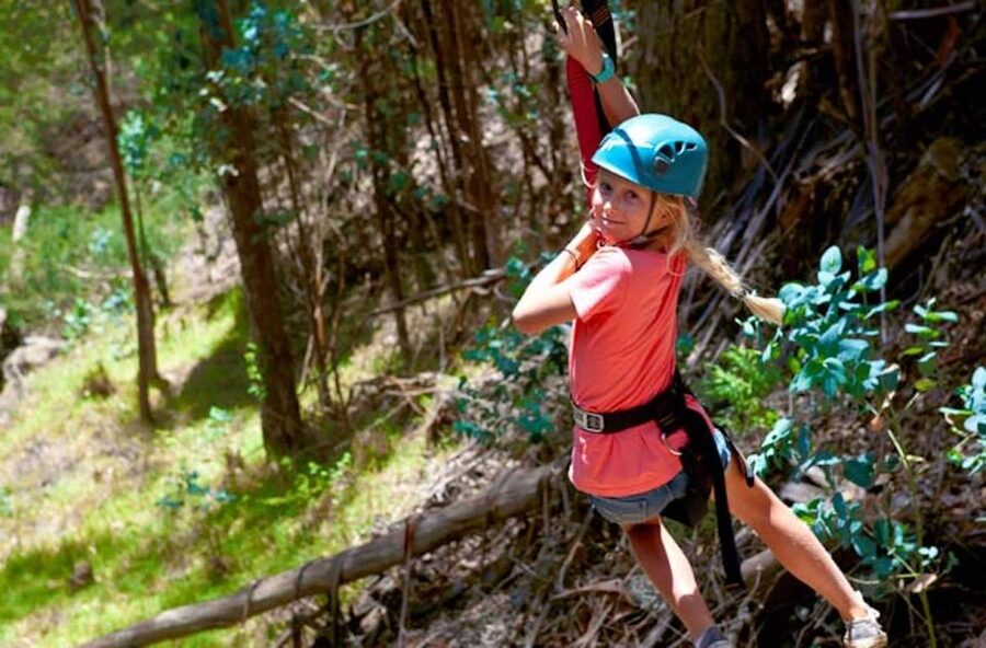 Maui: Haleakala 6-Line Zipline Adventure - Who should book this Haleakala adventure?