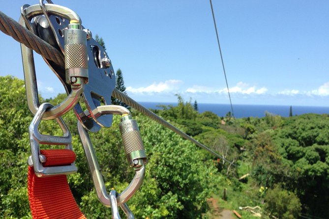 Maui Zipline Eco Adventure: 8 Lines through the Jungle - Arriving at Jungle Zipline Maui in Haiku